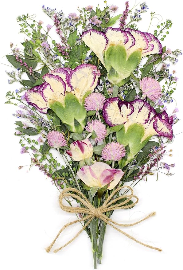 10+ Types Dried Pressed Flowers by AHTONG