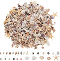 JQAQJU 1000 PCS Mini Sea Shells Small Starfish Mixed, 20 Kinds of Tiny by JQAQJU