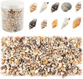 2000 Pcs Tiny Sea Shells for Crafting, Mixed Ocean Beach Mini Seashells Bulk by WEOXPR