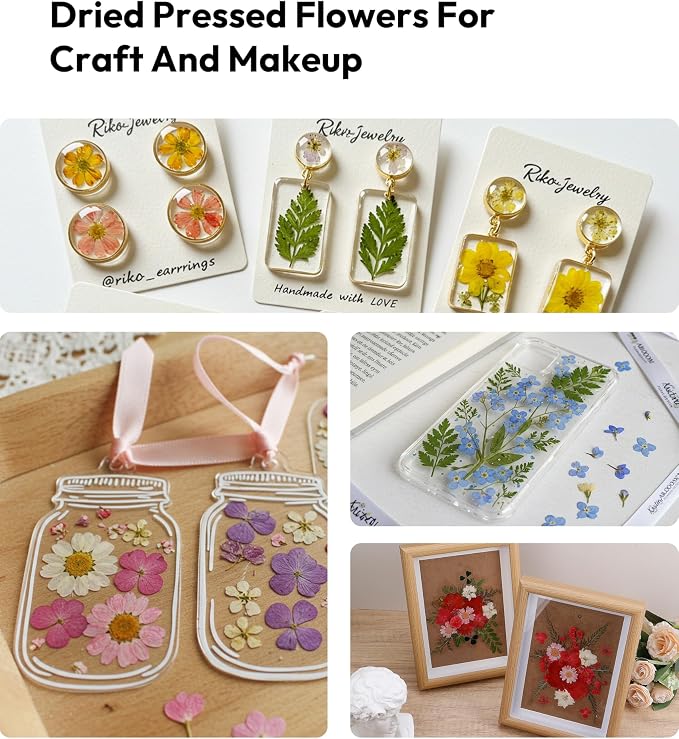 Dried Flowers, Resiners 100Pcs Pressed Flowers - Image 8