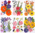 eBoot 72 Pcs Dried Pressed Flowers by eBoot