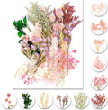 Vignee Real Dried Pressed Leaf Flowers-Multiple Colorful Pressed Flowers Daisies by Vignee