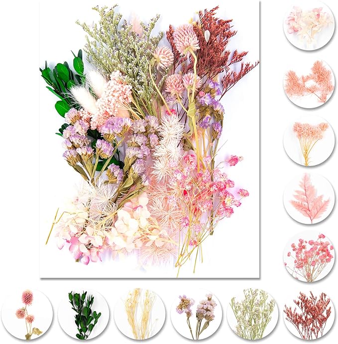 Vignee Real Dried Pressed Leaf Flowers-Multiple Colorful Pressed Flowers Daisies by Vignee