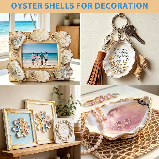 20Pcs Oyster Shells for Crafts 2"-3" Natural Oyster Shells for DIY Crafting - Image 6