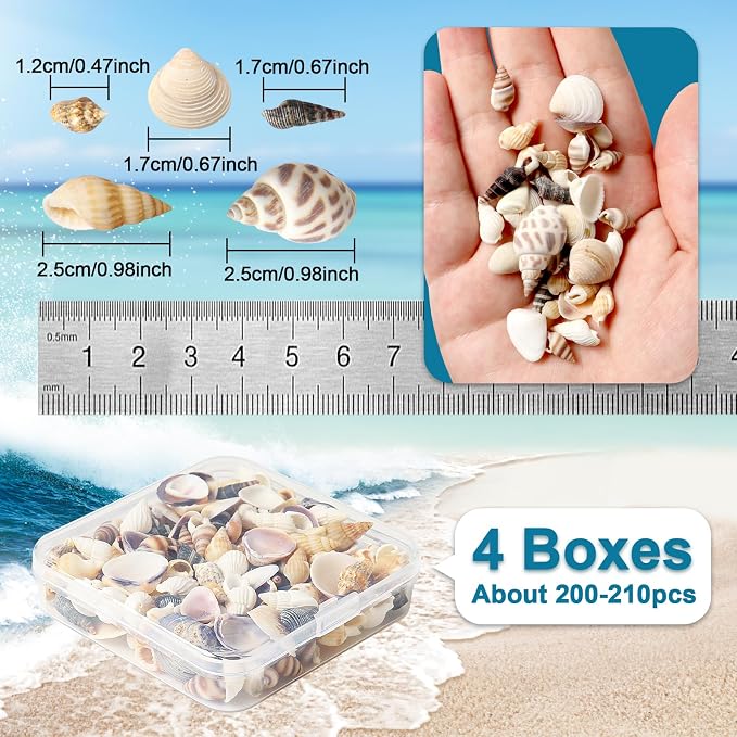 Seashells for Crafts Natural Mixed Seashells, 4 Pack Box, Small Shells for - Image 2
