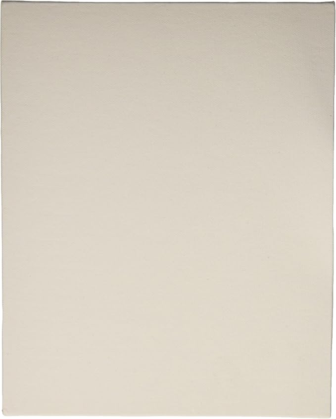 Winsor & Newton Artist's Canvas Board by WinsorNewton