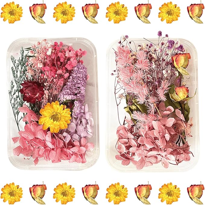 2PCS Dried Flowers Kit, Natural Dried Flowers Kit by Unknown