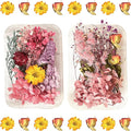 2PCS Dried Flowers Kit, Natural Dried Flowers Kit by Unknown