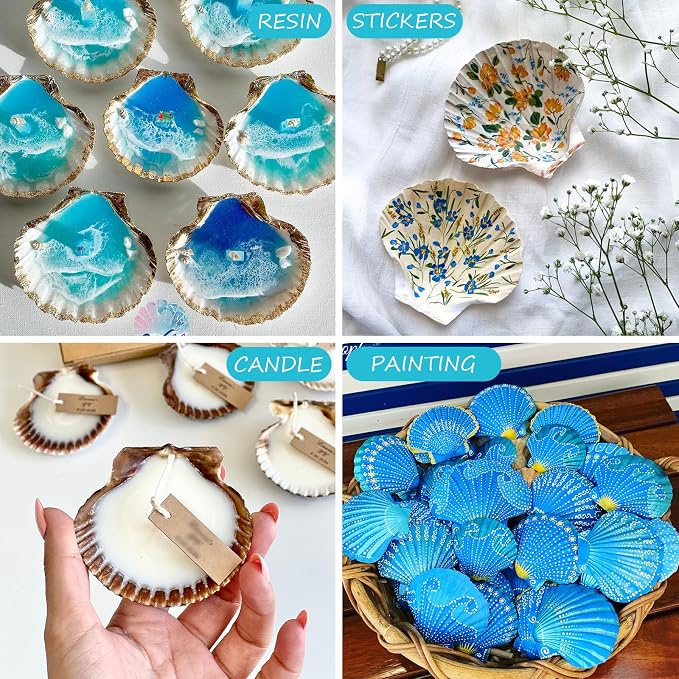 30PCS Scallop Shells for Crafts 2''-3'' Natural White Large Shells Decoration - Image 6