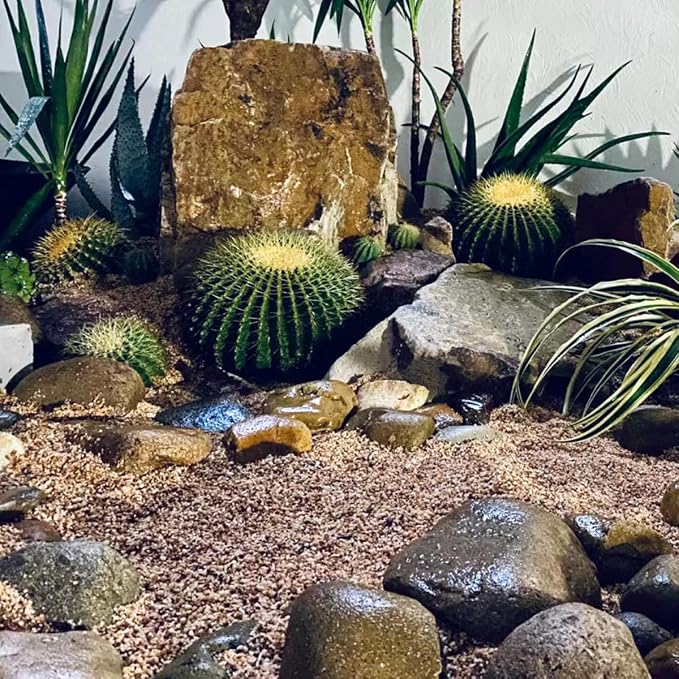 YISZM 5lbs Aquarium Gravel, 1/16" Natural River Rocks Succulent Cactus Pea - Image 5