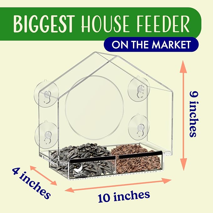 Clear Bird Feeders for Window Viewing Inside - Image 3