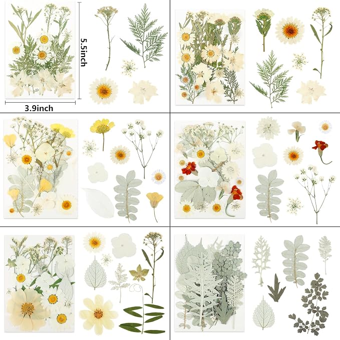 NESCCI 247 Pcs Dried Flowers for Crafts, Real Natural Dried Pressed Flowers in - Image 3