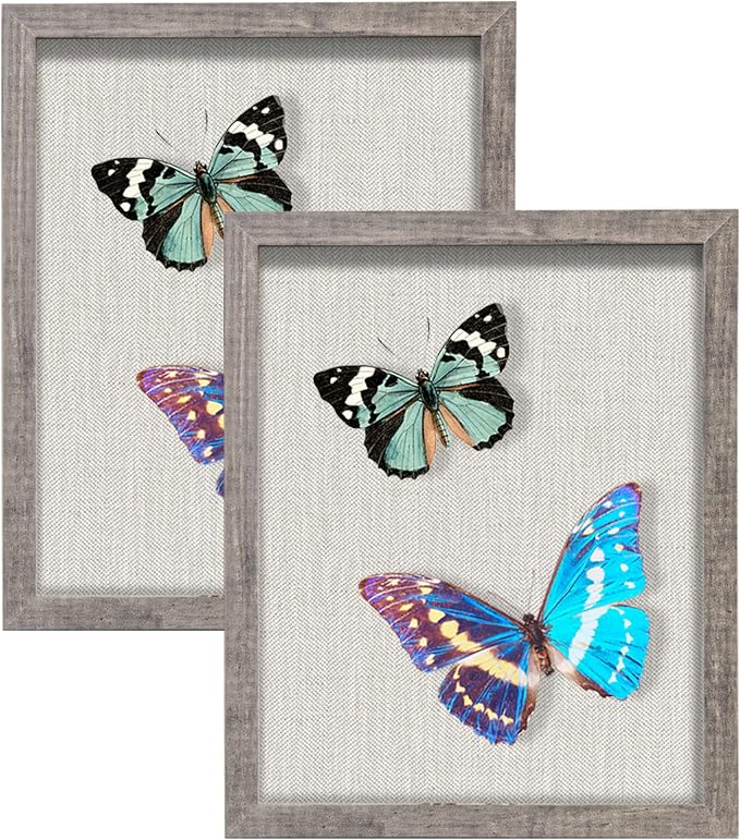 2 Packs 8x10 Shadow Box Frame by Califortree
