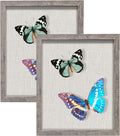2 Packs 8x10 Shadow Box Frame by Califortree
