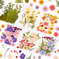 124 Pcs Dried Pressed Flowers for Resin Crafts, Real Pressed Wildflowers by Evatage