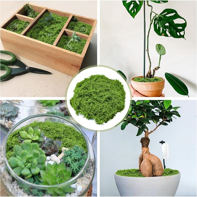 Fake Green Moss for Crafts 5.3 Oz Decorative Artificial Moss for Crafts - Image 2