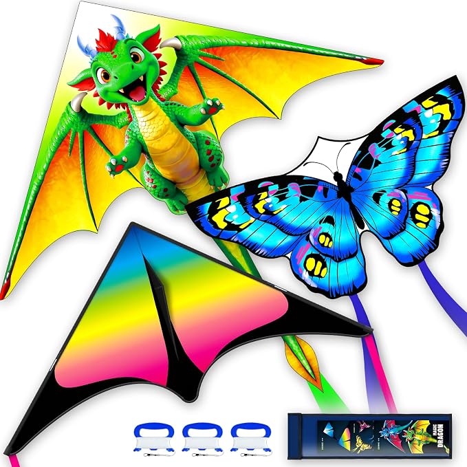 Kite for Ages 8-12, Single Line String Professional Kites for Beach and Outdoor by DoinFly