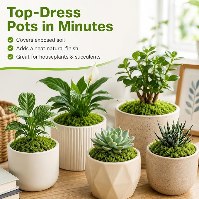 Fake Green Moss for Potted Plants - Image 2