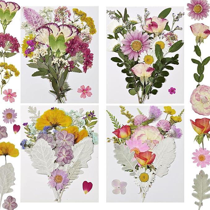 Dried Pressed Flowers Real Natural | Mixed Colors Flat Pressed Flowers by CONVELIFE