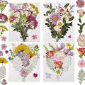 Dried Pressed Flowers Real Natural | Mixed Colors Flat Pressed Flowers by CONVELIFE