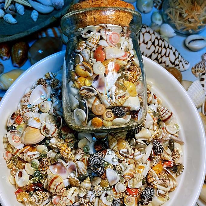 Fangoo 1500 Pieces Small Sea Shells Conch Natural Starfish Mixed Agate Pebble - Image 4