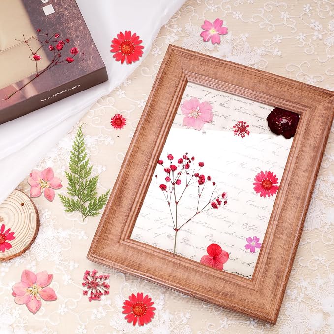 Dried Pressed Flowers Real Pressed Flowers Natural Dry Leaves Bulk Mixed - Image 4