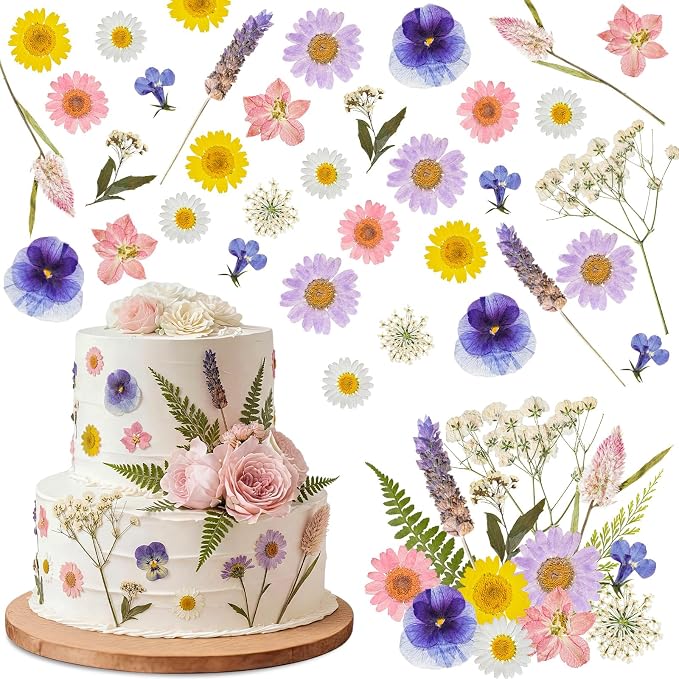 96 Pcs Natural Dried Pressed Flowers by Unknown
