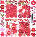 110Pcs Red Dried Pressed Flowers by Unknown