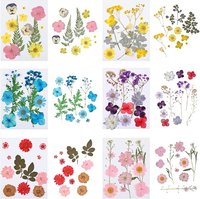130 PCS Dried Pressed Flowers - Image 5