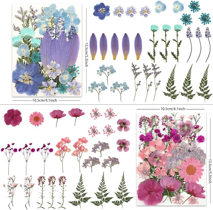 LUXEEASE 4 Color 110P Long Stem Dried Pressed Flowers | Long stems - Image 3