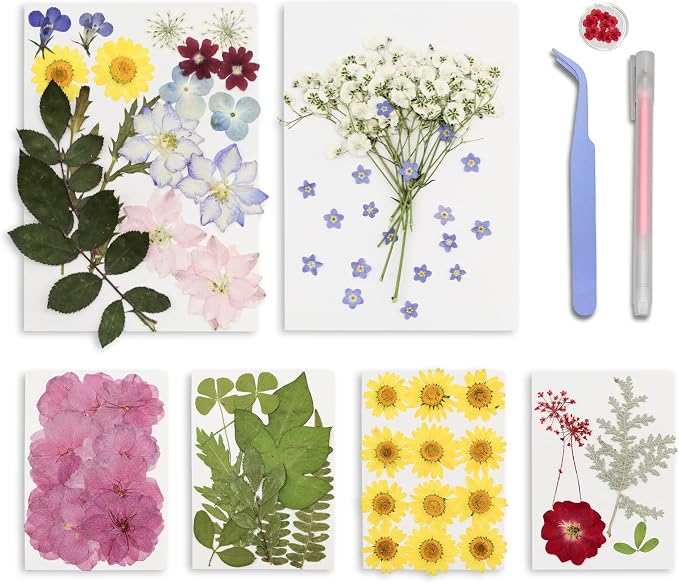 95PCS Dried Pressed Flowers for Crafts by Unknown