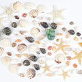 Fangoo 1500 Pieces Small Sea Shells Conch Natural Starfish Mixed Agate Pebble by Fangoo