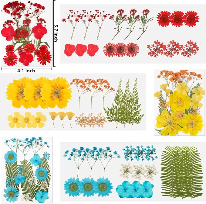 NESCCI Dried Pressed Flowers for Resin - Image 2