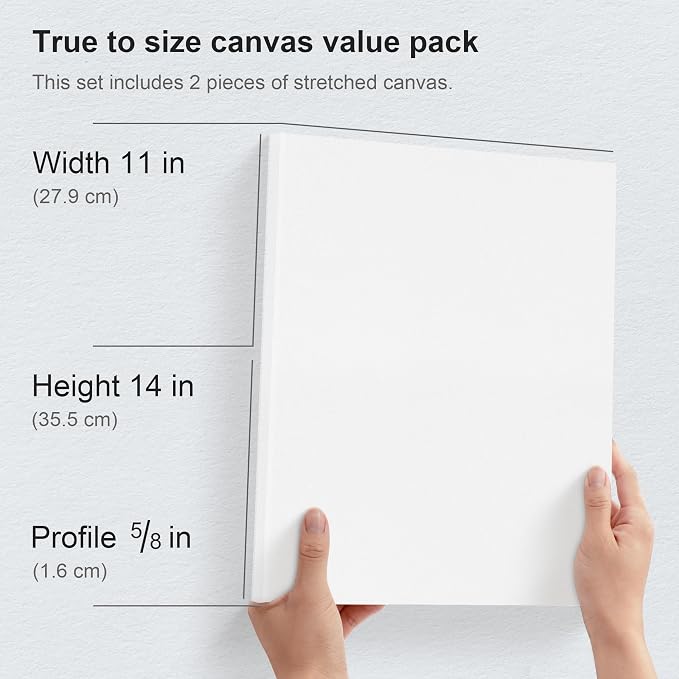 PHOENIX 11x14 Inch Pack of 2 Canvas - Image 2