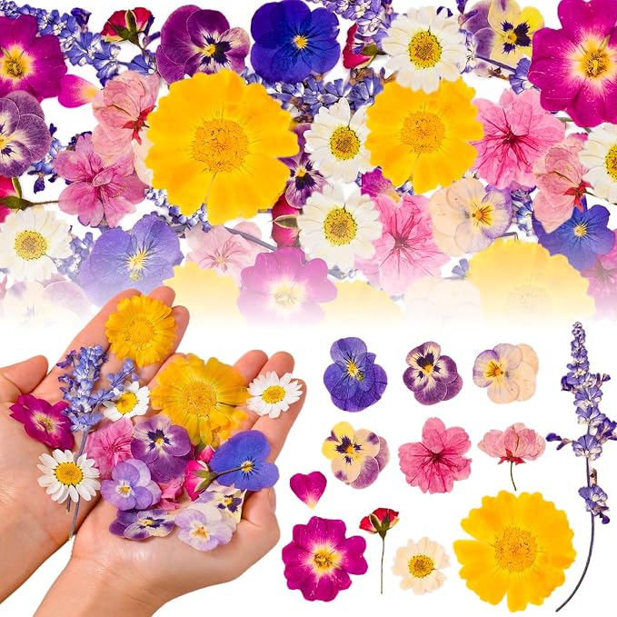70 Pcs 11kinds Edible Dried Pressed Flowers - Image 8