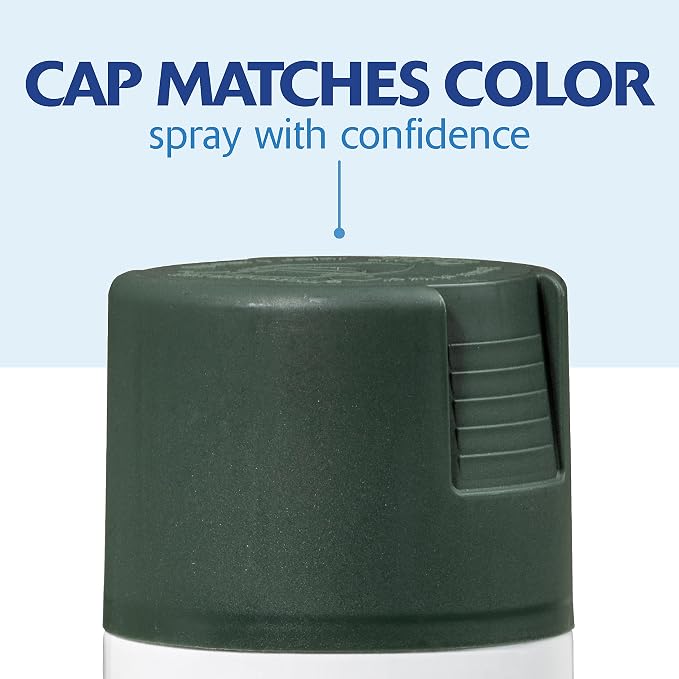 Rust-Oleum 334072-6PK Painter's Touch 2X Ultra Cover Spray Paint, 12 oz - Image 7