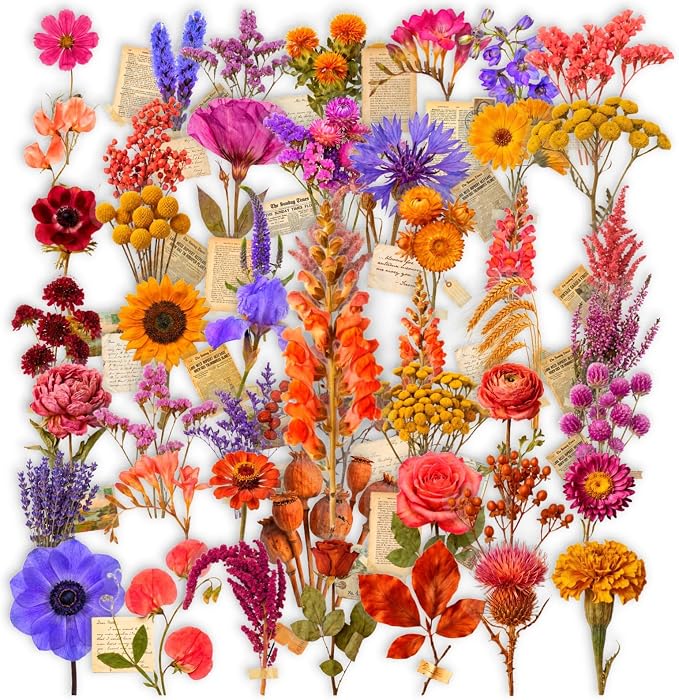 50 Pcs Clear PET Flowers Aesthetic Stickers - Image 3