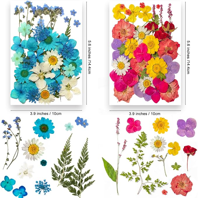 191PCS Real Nature Dried Pressed Flowers - Image 4