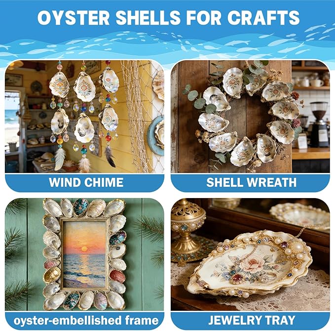 4"-5" 20PCS Large Concave Oyster Shells - Image 3