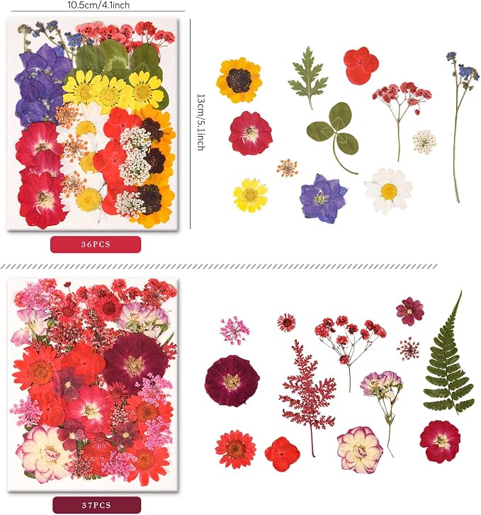 330PCS Natural Color Pressed Dried Flowers - Image 2