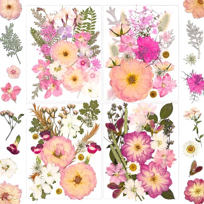 92 Pcs Pink Pressed Dried Flowers by SUAUKEYDRIEDFLOWERS
