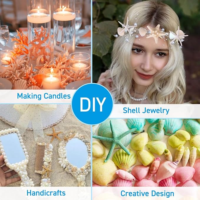 24PCS Sea Shells for Crafts Decoration - Image 3