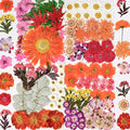 136pcs Dried Flowers for Resin, Dried Pressed Flowers for Crafts Bulk for by WXQX