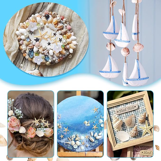 1200 Pieces Tiny Sea Shells Small Natural Starfish Mixed Ocean Beach Spiral - Image 7