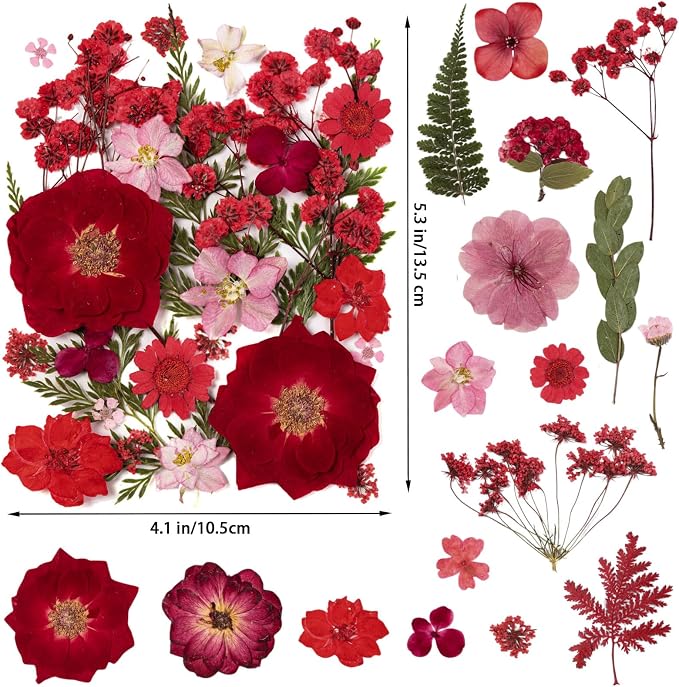 101 PCS Red Dried Pressed Flowers - Image 2