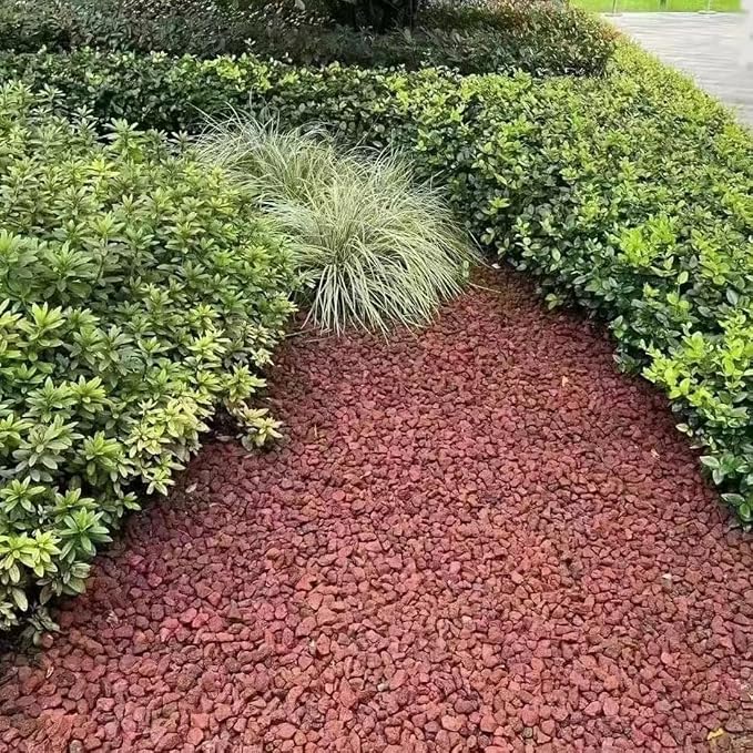 YISZM 2LB Succulent and Cactus Gravel Pebbles, 1/5 Inch Natural Decorative - Image 7