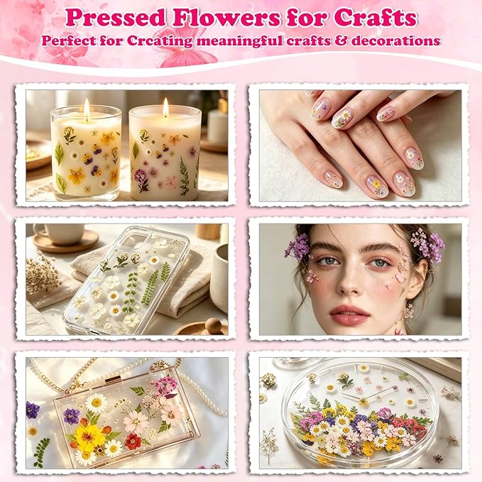 100 Pcs Dried Pressed Flowers Leaves - Image 7