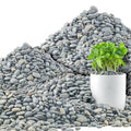 Quibbay 45 LB Mexican Beach Pebbles, 0.4-1 Inch Natural Unpolished Bulk Rocks by Unknown