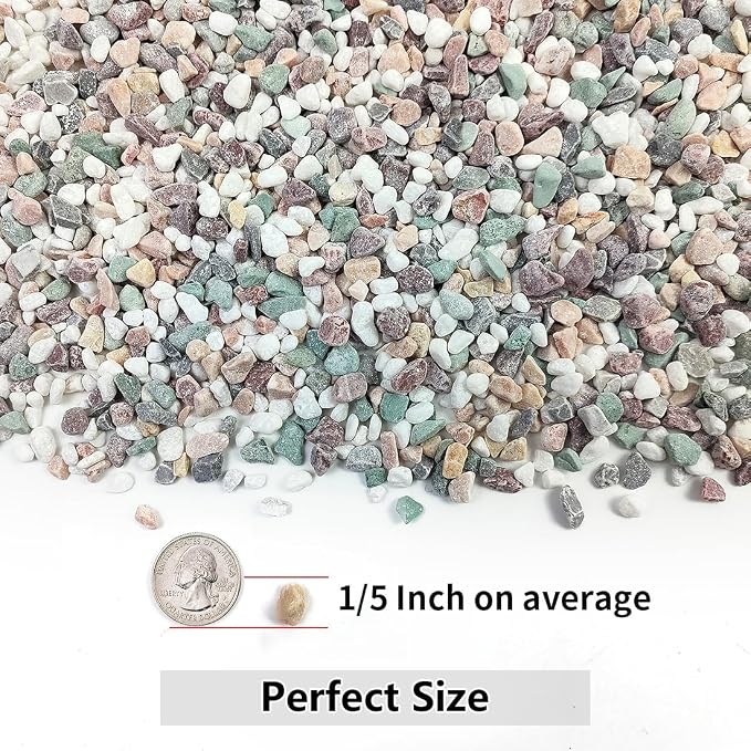 YISZM 5LB Succulent and Cactus Gravel Pebbles, 1/5 Inch Natural Decorative - Image 2