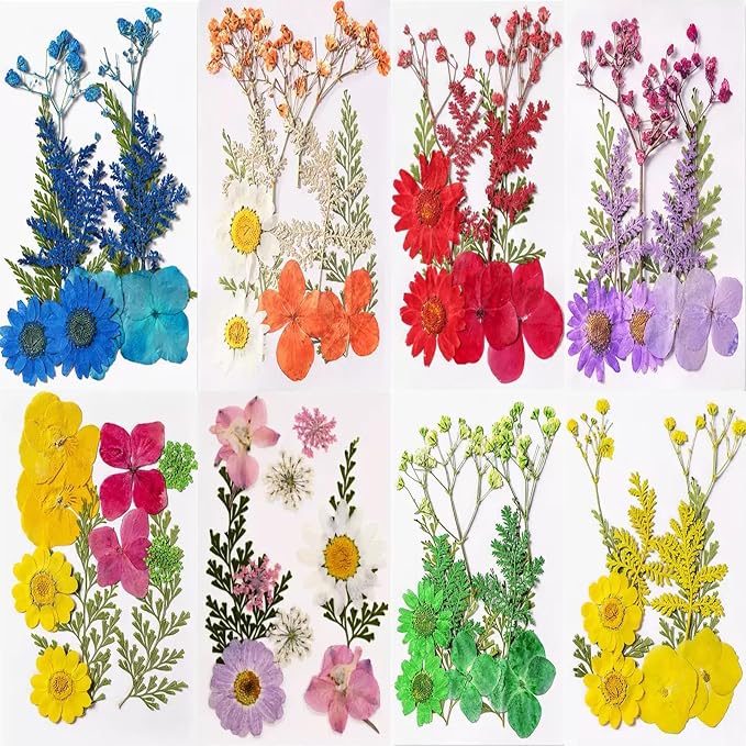Dried Flowers, Resiners 80Pcs（Trending Colors） Pressed Flowers by ohsuni